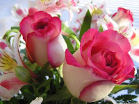 Free Rose Bouquet Wallpaper