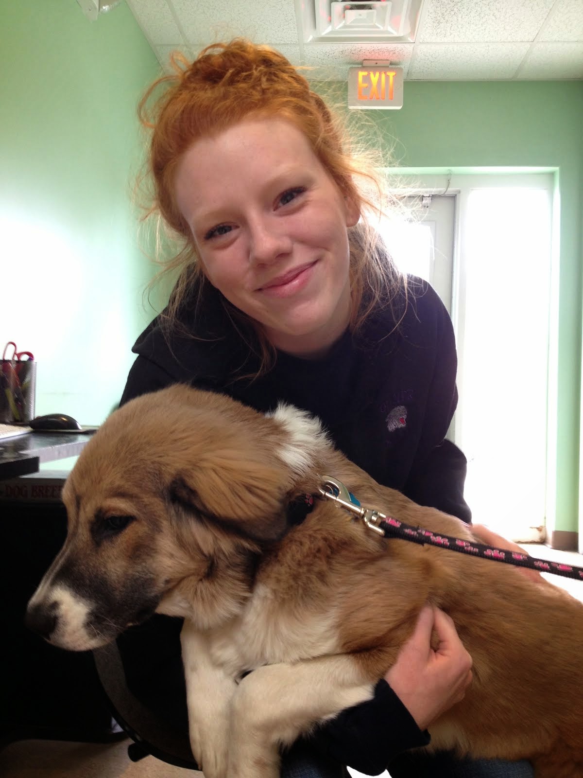 Volunteering Soothes the Soul
