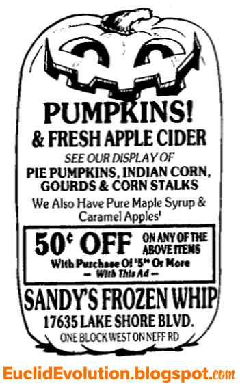 Sandy's Frozen Whip 17635 Lakeshore Halloween