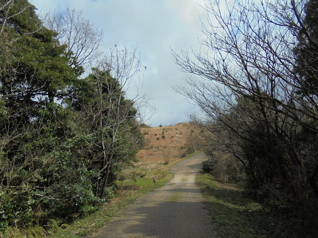 洞ノ原地区の西側丘陵