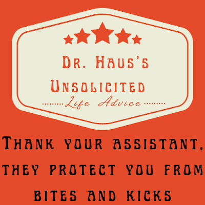 Dr. Haus's Unsolicited Life Advice:  Thank your assistant, they protect you from bites and kicks