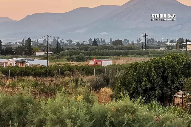 Αργολίδα: Μικρής έκτασης φωτιά στη Νέα Κίο