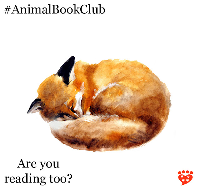 A fox curled up asleep for the book club's choice How To Tame a Fox by Lee Alan Dugatkin and Lyudmila Trut