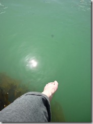 fishies