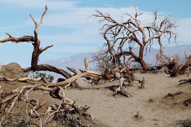 desert pic, desert image, death valley pic