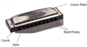 Parts-of-musical-instrument-harmonica