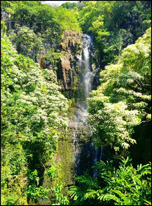 Wailua Falls Rd Hana 5-22-2013-1