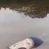 VÍDEO: Pescador encontra corpo boiando às margens no rio em Manacapuru