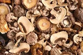 Dried Mushroom Supplier In Ahmedabad