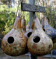 Gourd Bird Feeders