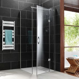 Frameless Shower door