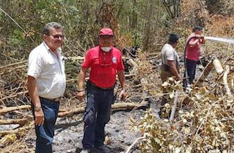 Va gobierno de Puerto Morelos contra responsables de provocar incendios