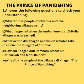 the prince of panidehing questions