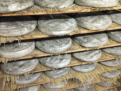 saint nectaire fermier, saint donat, auvergne, laiterie de paris, blog fromage, blog fromage maison, fabrication saint nectaire, fabrication fromage, gaec de bertinet