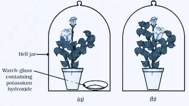 Explain Activity 6.2 Class 10 Science NCERT