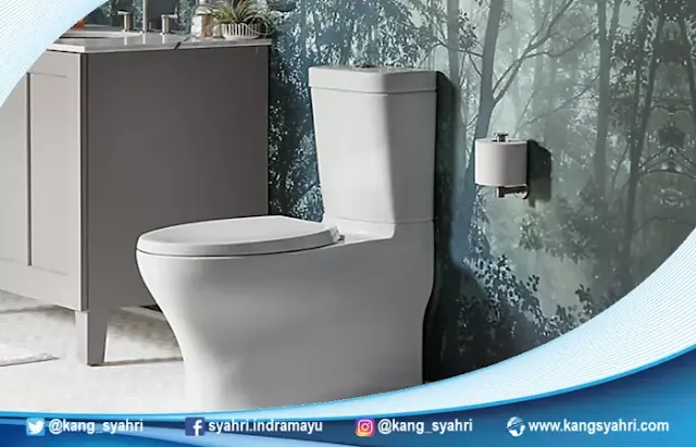 Berikut ini tips mendesain toilet minimalis yang nyaman dan bersih dari toilet dari Kohler