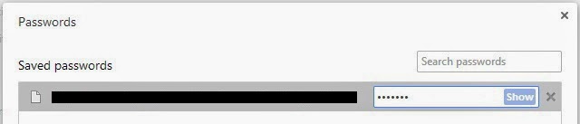 saved password view google chrome