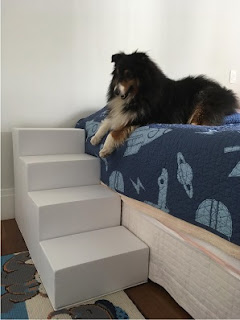 escadas para cães collie lassie