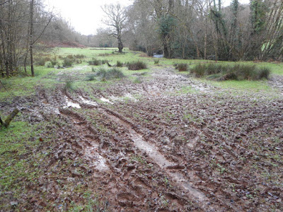 Watermeadows, Mid-Devon, January