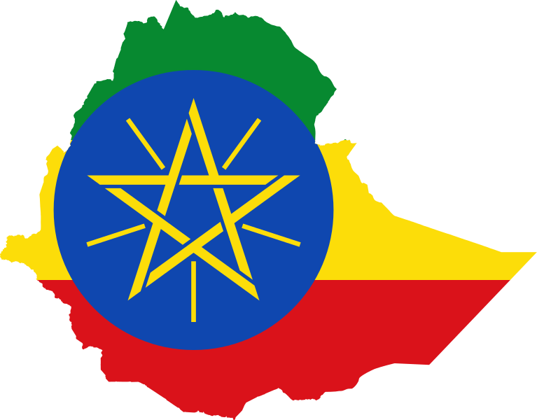 Immigrants in Ethiopia