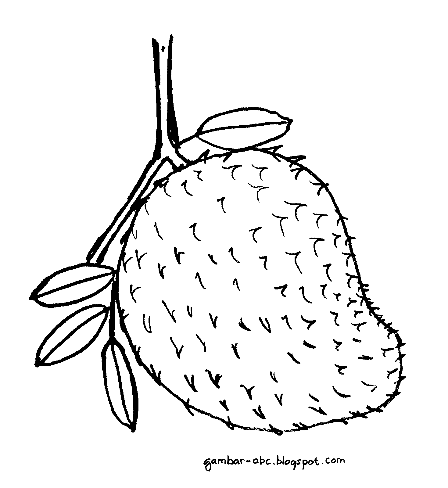 Contoh Gambar Cara Mewarnai Buah  Durian  KataUcap