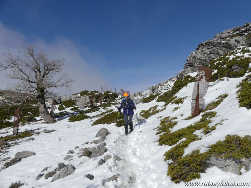 Subida al Torrecilla desde Quejigales