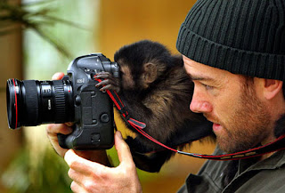 Funny Animals With Camera