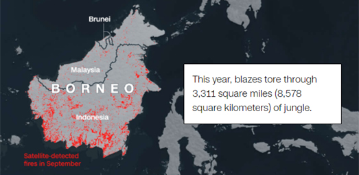 a map showing the satellite detected fires in Borneo in September 2019