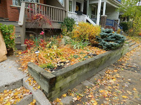 Monarch Park Toronto Fall Cleanup Front Yard Before by Paul Jung Gardening Services--a Toronto Organic Gardening Company