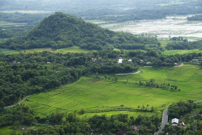 Petakan sawah menjadikan pemandangan lebih asri