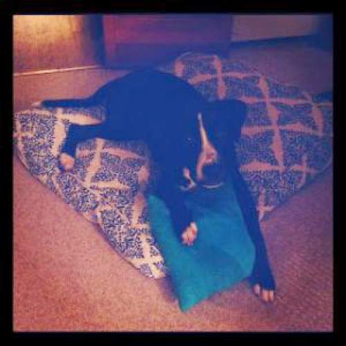 It Was All Blue Pillow