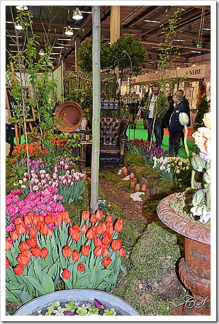 DSC_0006 (2)