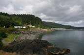 Skidegate home of the Dog!!!