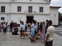 Cãonhecendo São Paulo (244)