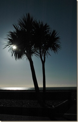 beach walk 003