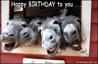 Funny Moving Pictures on Free Photo Funny Happy Birthday To You     Greetings Animated Gifs