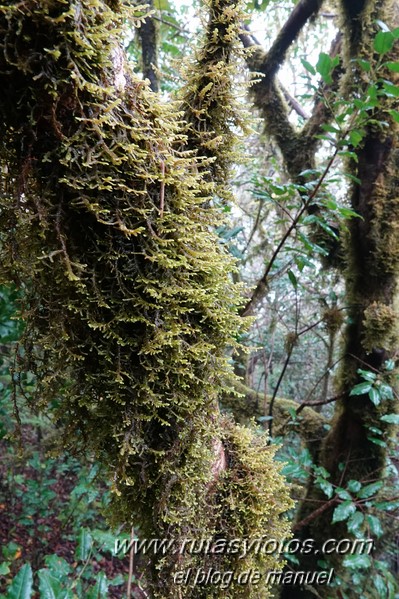 Sendero de los Sentidos - Sendero de los Enigmas