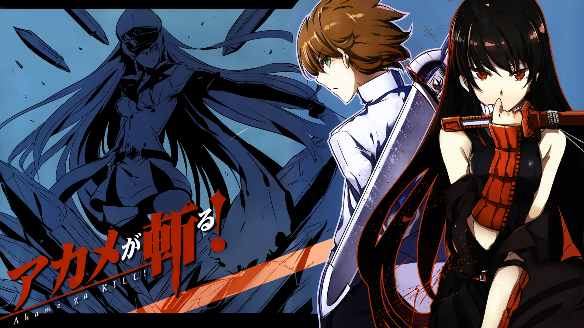 Akame Ga Kill Anime 2014 Wallpaper HD