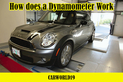 Examining the dynamometer facts