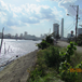 View album