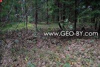 The former trenches in the location of Jerusalem in the forest of Puszcza Nalibocka