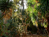 Botanical Gardens Valencia