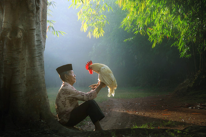 Beautiful Photos Indonesia Asit