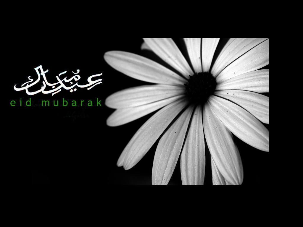 12 EID Greetings : Eid Mubarak Wallpapers And EID Cards ~ Wallpapers ...