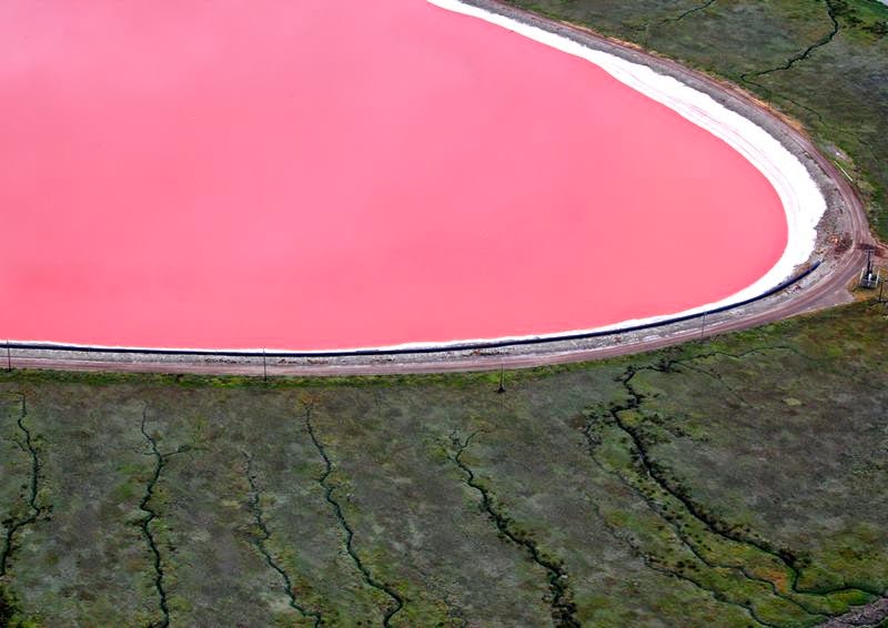 Pink Hillier Lake of Middle island, Australia