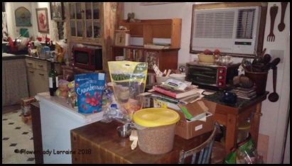 01-29-kitchen-before