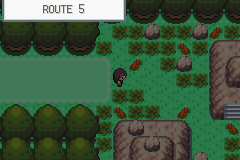 Pokemon Hack (GBA)