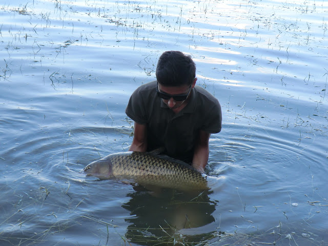 Ebro Chiprana 2013