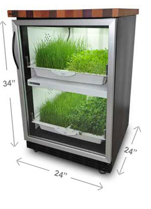 Tobi Brockway Interiors: Indoor vegetable garden for your kitchen