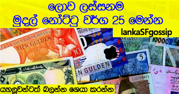 25 Most Beautifully Designed Banknotes In The World Sinhala Article